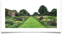 Herbatious Borders at Arley - Helen Kulczycki